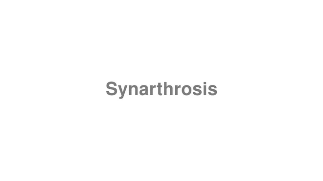 Synarthrosis