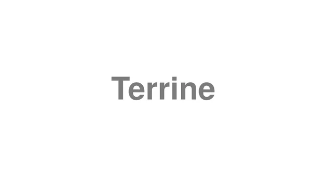 Terrine