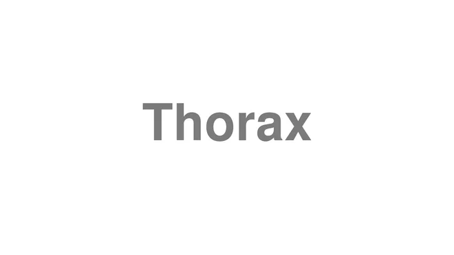 Thorax