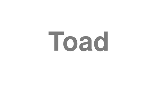Toad