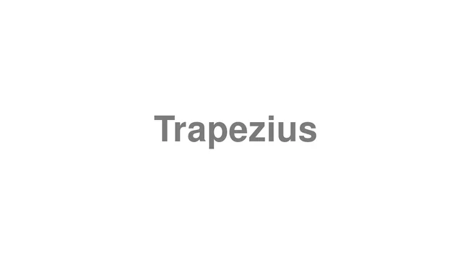 Trapezius