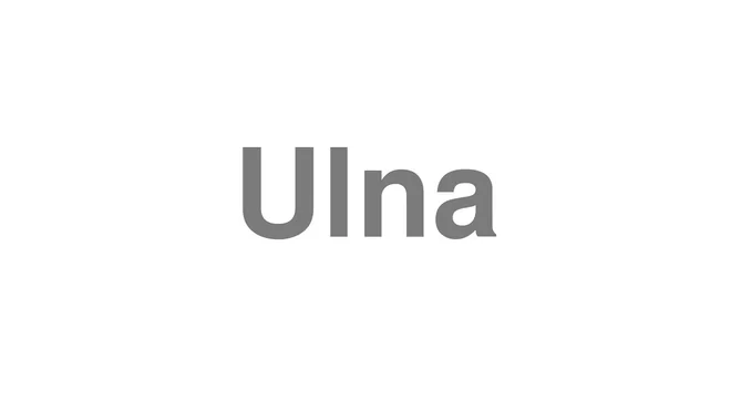Ulna