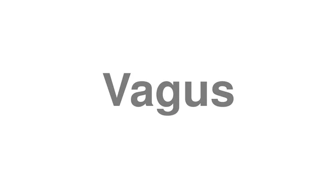 Vagus