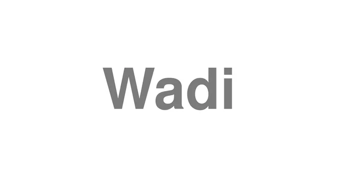 Wadi