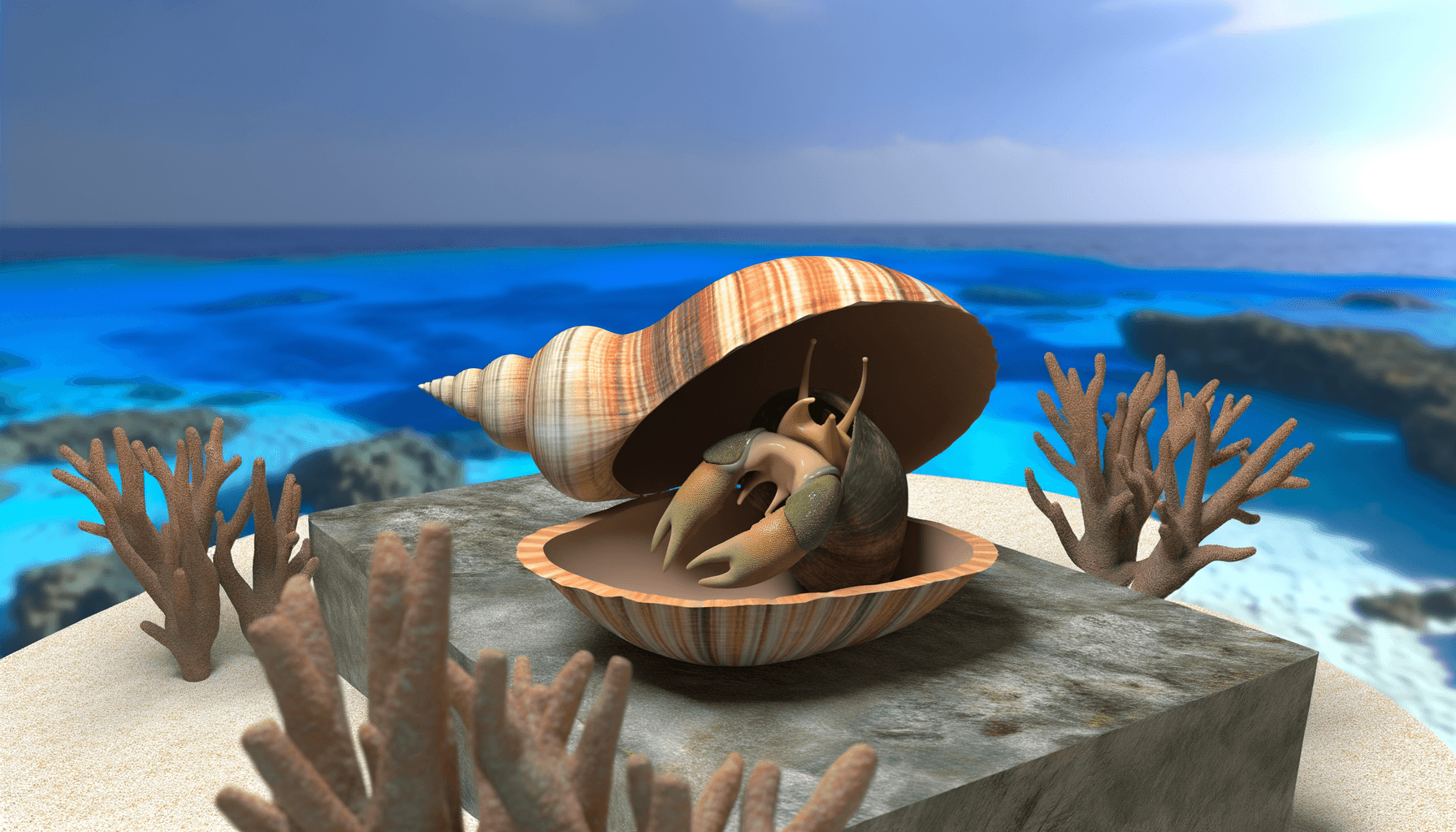 Operculum the Surprising Truth About Shell Protection