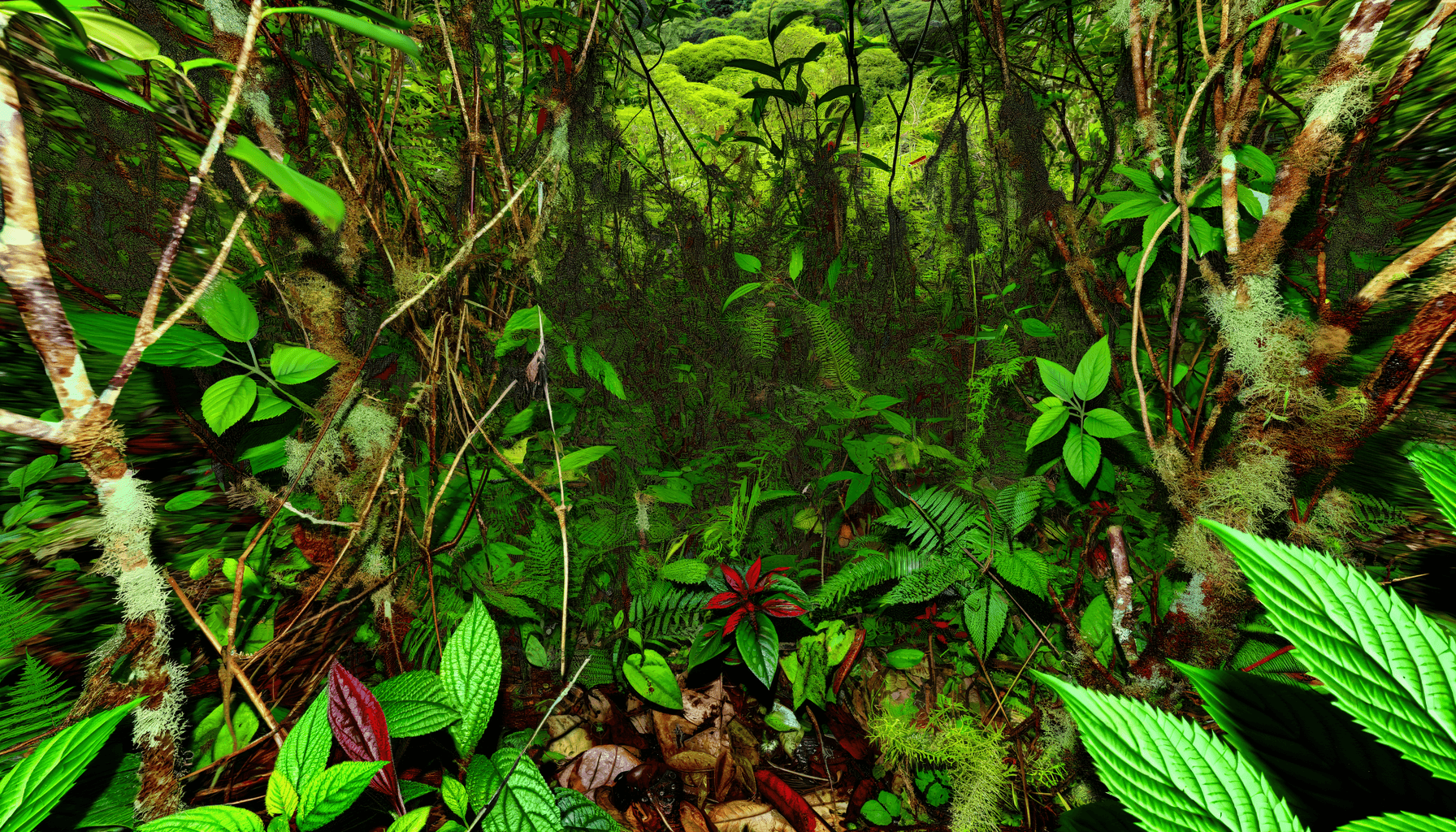 The Secret Life of Bushes: Natures Hidden Marvels