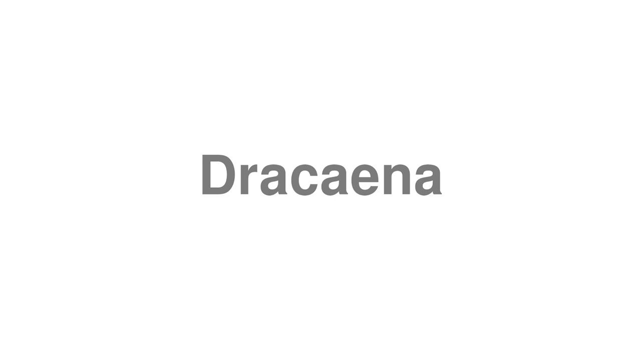 dracaena how to pronounce