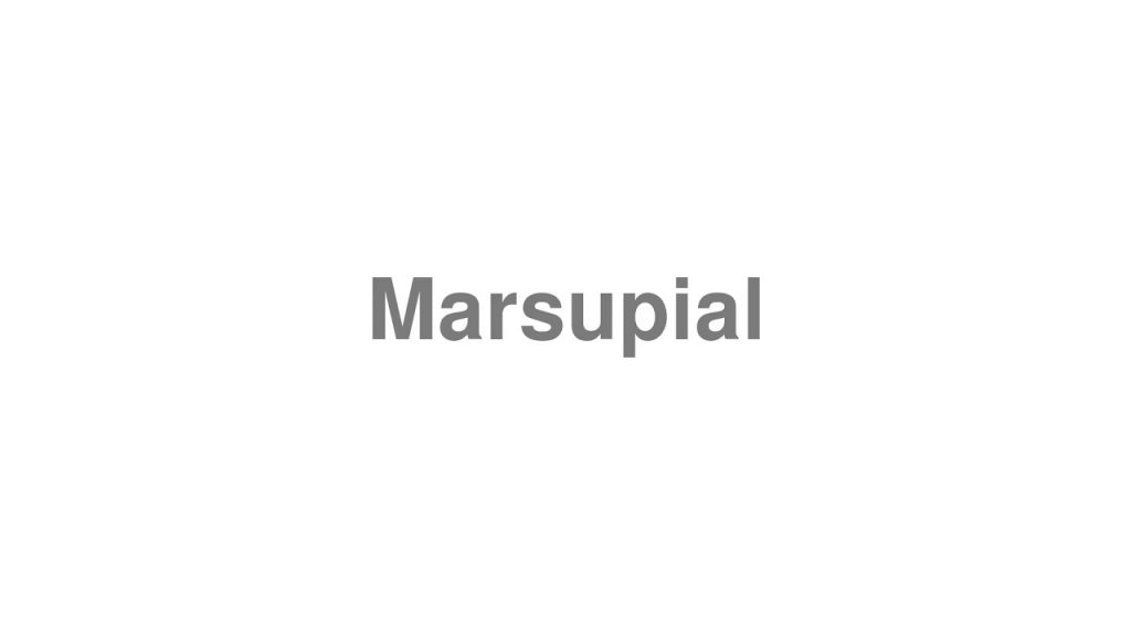 how to pronounce marsupial