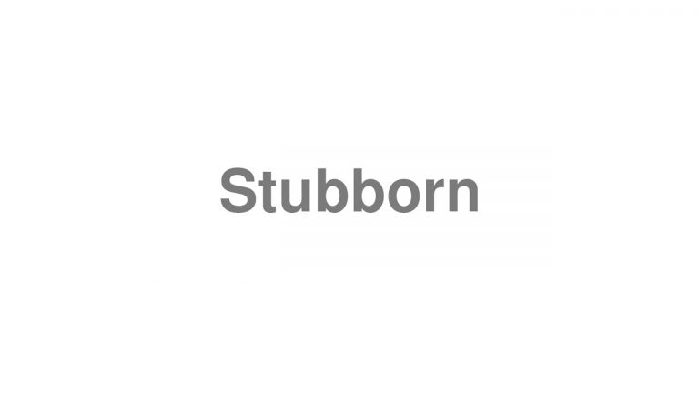 Stubborn pronunciation and definition 