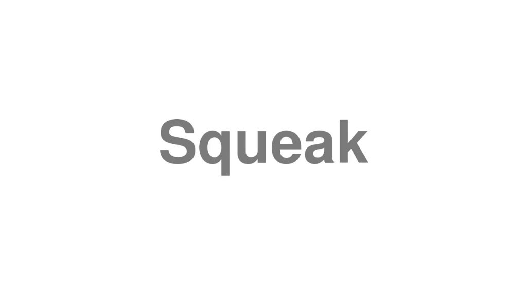 how to pronounce squeak